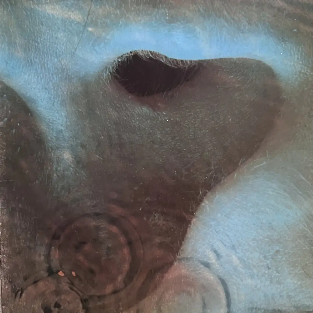 Produit 1 - vue principale